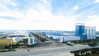 乘風破浪鑄輝煌