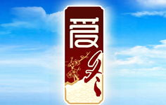 愛冬 愛冬招商代理 愛冬詳細(xì)介紹